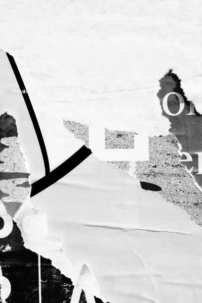 istock Blank white black old ripped torn paper crumpled creased posters grunge textures backdrop backgrounds placard stock photo 1482665215