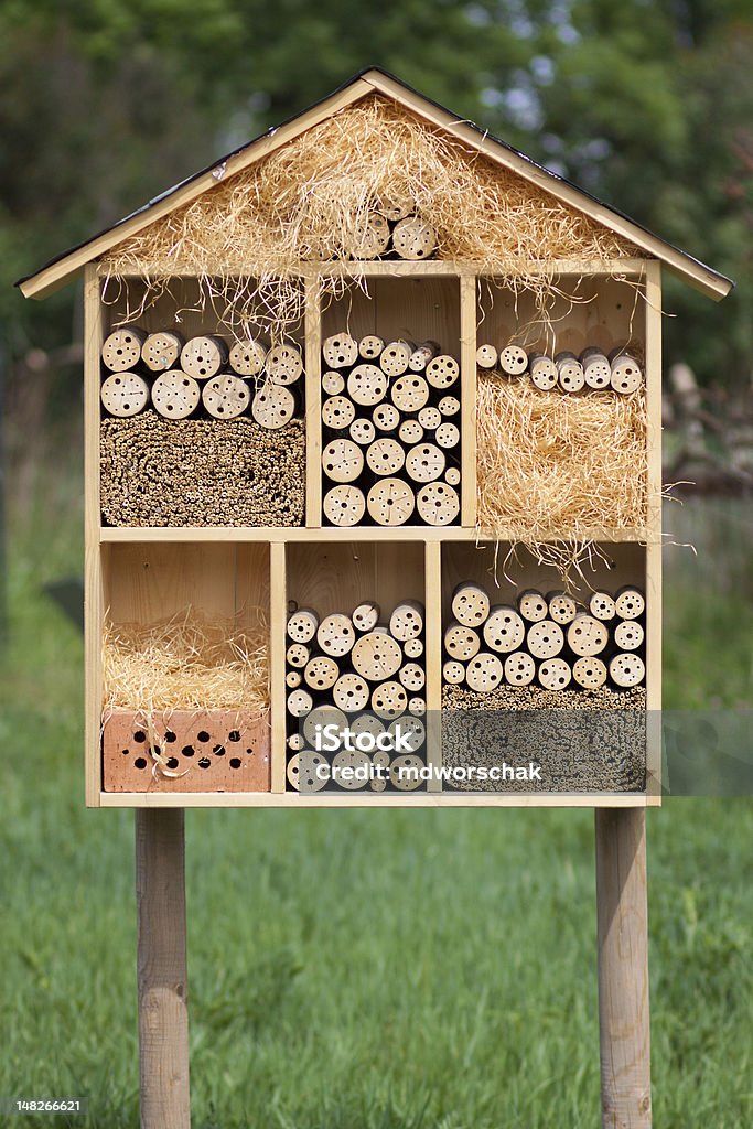 Insect Hotel Insect hotel in the field. Animal Stock Photo