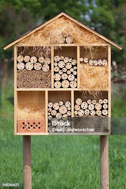 Insect Hotel Stock Photo - Download Image Now - Animal, Apiculture, Bee