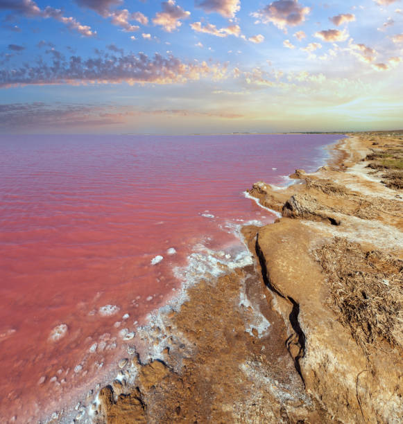 istock Pink extremely salty Syvash Lake, colored by microalgae with crystalline salt depositions. Also known as the Putrid Sea or Rotten Sea. Ukraine, Kherson Region, near Crimea and Arabat Spit. 1482666438