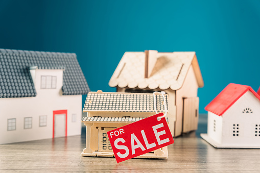 small houses for sale on the table