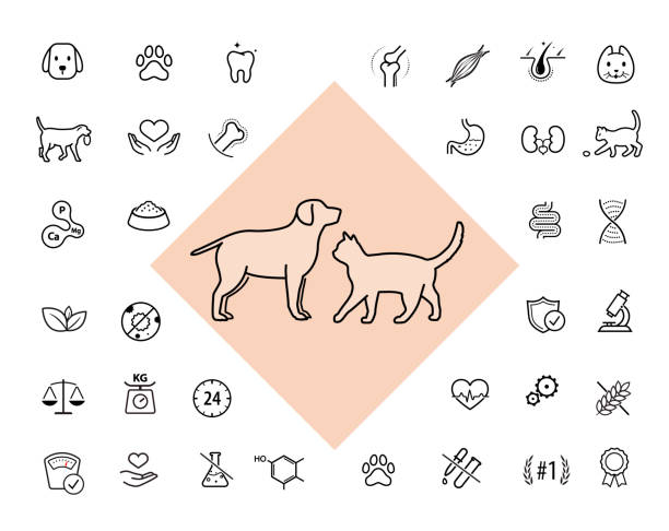 ilustraciones, imágenes clip art, dibujos animados e iconos de stock de un conjunto de iconos para animales. los iconos de contorno son bien escalables y editables. - animal bone