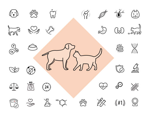 ilustrações, clipart, desenhos animados e ícones de um conjunto de ícones para animais. os ícones de contorno são bem escaláveis e editáveis. - healthy pet