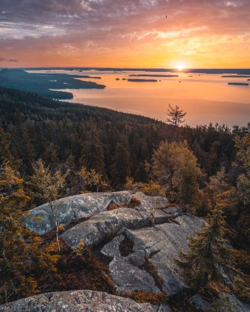 istock Koli National Park Finland 1482675979