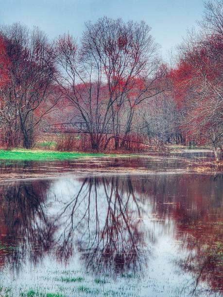 istock Beautiful Spring Day After the Rain 1482680651