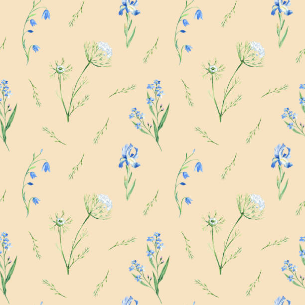 illustrations, cliparts, dessins animés et icônes de motif aquarelle sans couture avec jacinthe, myosotis, iris, dentelle queen annes sur fond beige. peut être utilisé pour les impressions sur tissu, le papier d’emballage cadeau, le textile de cuisine. - wildflower queen annes lace flower weed