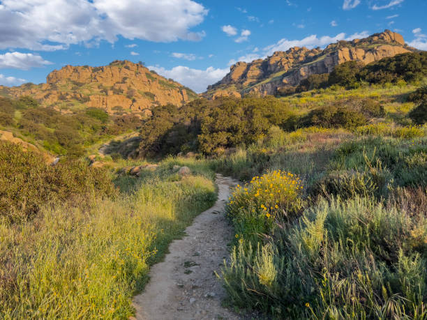 istock Santa Susana Pass State Historic Park Los Angeles 1482683069