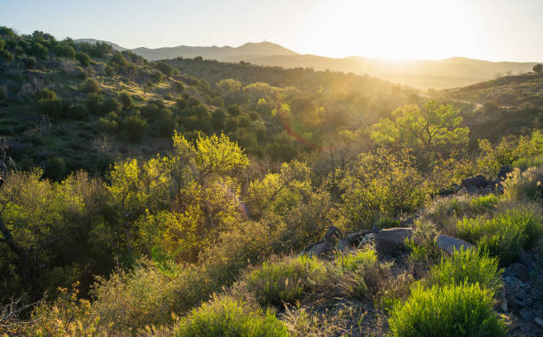 istock Sunrise over Seven Springs in Tonto National Forest 1482684132