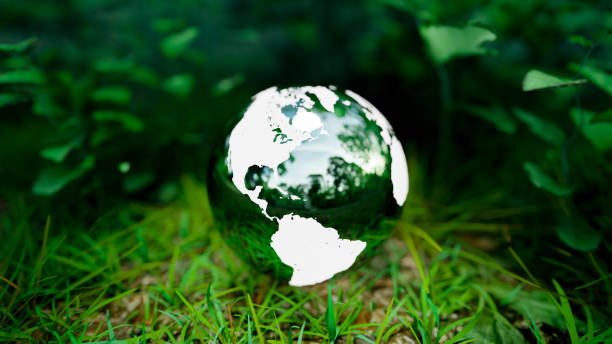 istock Global environmental protection concept background image with a globe on grass in a forest, 3d rendering 1482688265