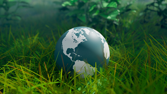 Global environmental protection concept background image with a globe on grass in a forest, 3d rendering