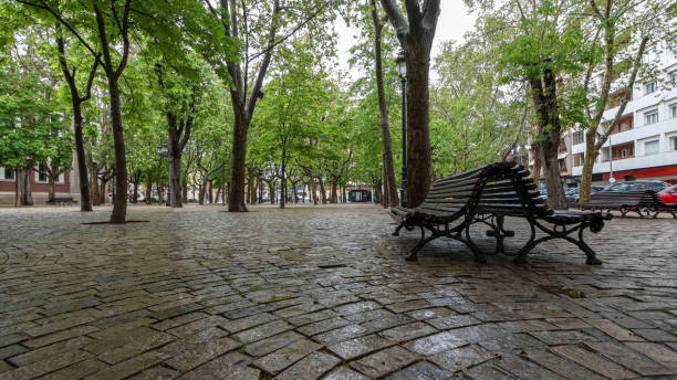 istock A wooden bench, green trees and wet cobblestones. 1482690627
