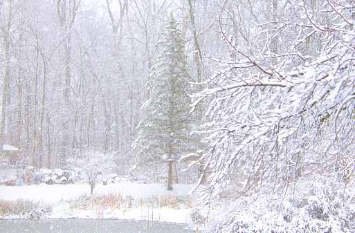 Small lake in a heave snow storm-Howard County, Indiana