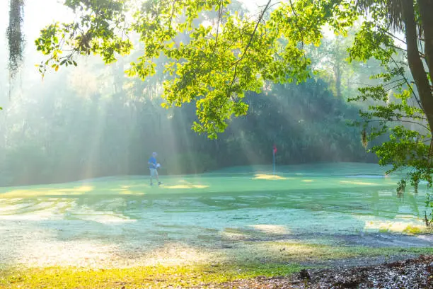 Photo of Sunbeams hitting the green in early moring-Hilton Head, South Carolina