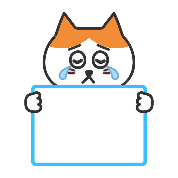 ilustrações de stock, clip art, desenhos animados e ícones de tabby cat having sad information with a blank sign, vector illustration - comic book animal pets kitten