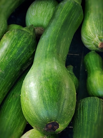 The green zucchini is used in several dishes, being widely consumed in diets.