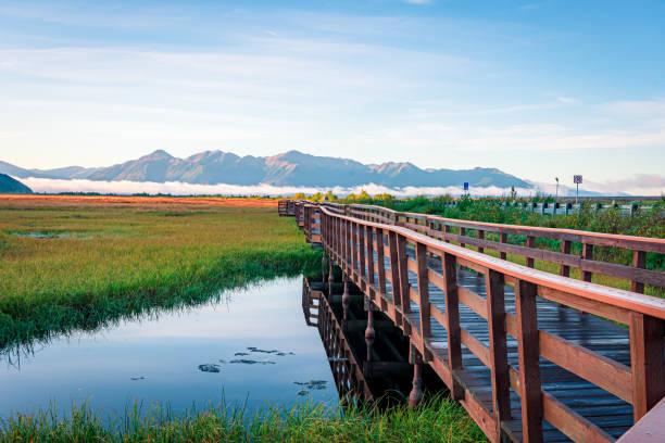 istock Potter Marsh Bird Sanctuary, Anchorage, Alaska 1482696362
