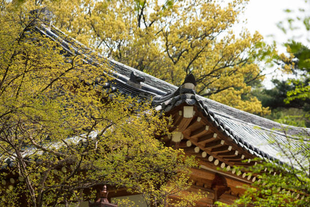 istock Traditional Korean Hanok 1482698851
