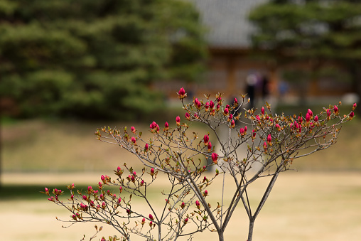 Seoul Korea