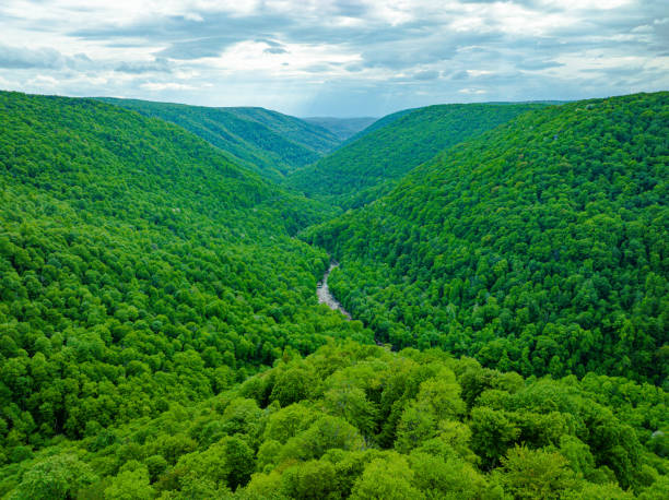 istock Lindy Point Overlook in Blackwater Falls State Park 1482702464