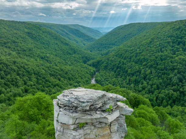 Located in Davis, West Virginia, Lindy Point offers a breathtaking viewpoint overlooking Blackwater Canyon