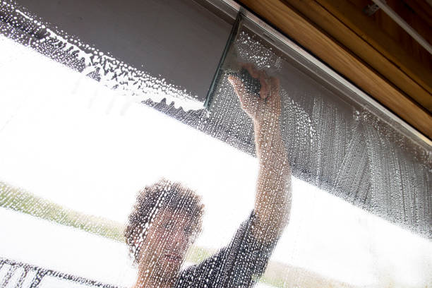 istock Cleaning the Windows of a House 1482703078