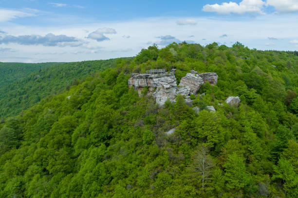 istock Lindy Point Overlook in Blackwater Falls State Park 1482703337