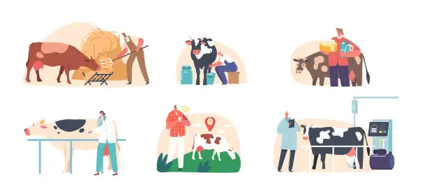 Vector illustration of Set Of Farmers Male And Female Characters Work On Livestock With Cows, Cleaning, Feeding, And Milking Them