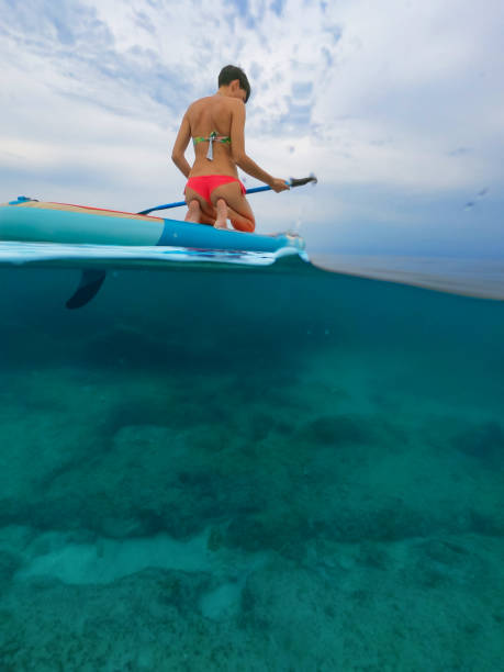 istock Woman getting ready for early morning paddle boarding exercise on the sea 1482707555