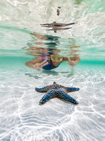 Woman snorkelling around a beautiful blue sea star on pure white seabed sand