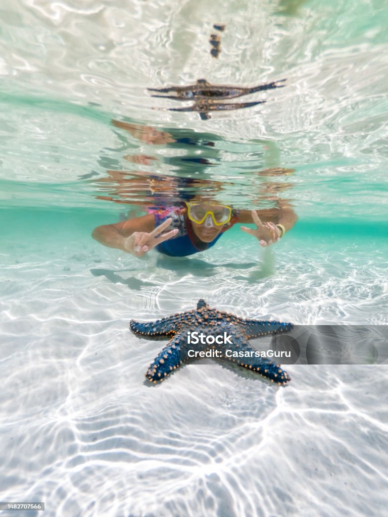 Woman snorkelling around a beautiful blue sea star on pure white seabed sand Zanzibar Stock Photo