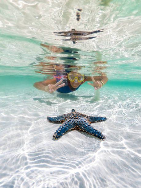 Woman snorkelling around a beautiful blue sea star on pure white seabed sand stock photo