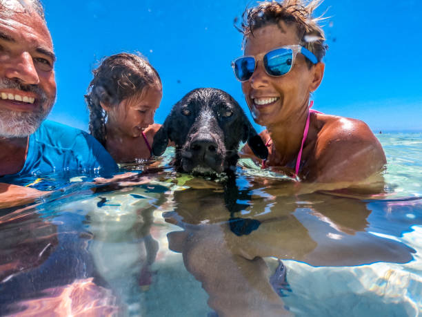 Family Beach vacation family portrait with a pet dog in warm tropical ocean stock photo