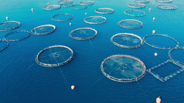 Fish farming in Aegean sea aerial view