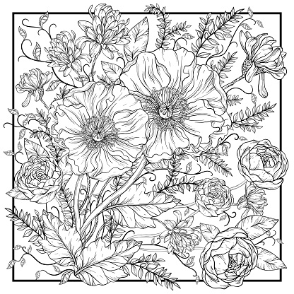 Vintage vector floral design. Illustration with red Poppies and roses, summer flowers. Floral design. Black and white