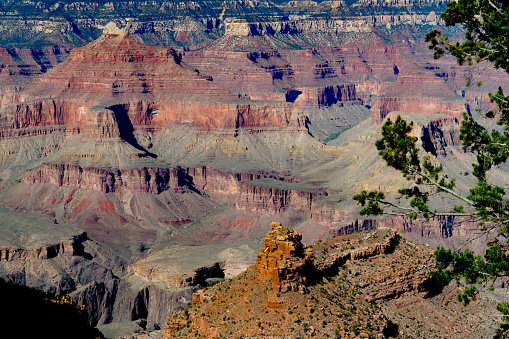 The Grand  Canyon in the summer Time