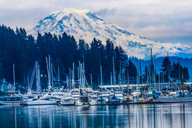 istock Mount Rainier Sailboats Reflection Gig Harbor Washington State 1482726185