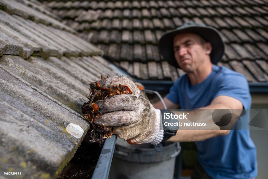 Removing all the leaves from the roof gutters before the winter Man cleaning his house gutters before the winter comes. Collecting all the mulch from the roof gutters for composting. Roof Gutter Stock Photo