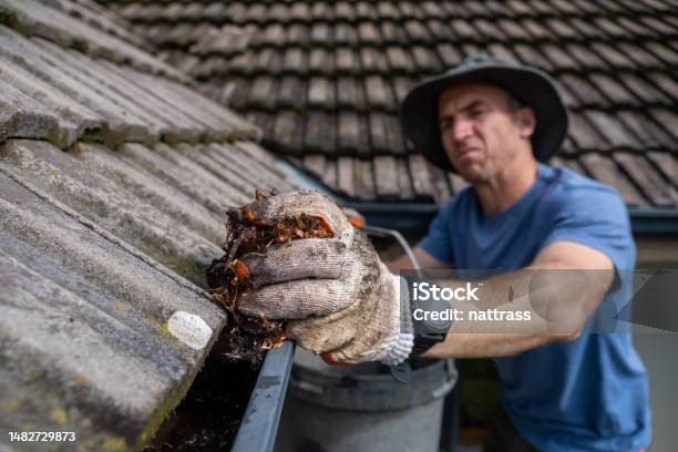 Removing All The Leaves From The Roof Gutters Before The Winter Stock Photo - Download Image Now