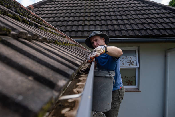istock Man cleans his roof gutters 1482729899