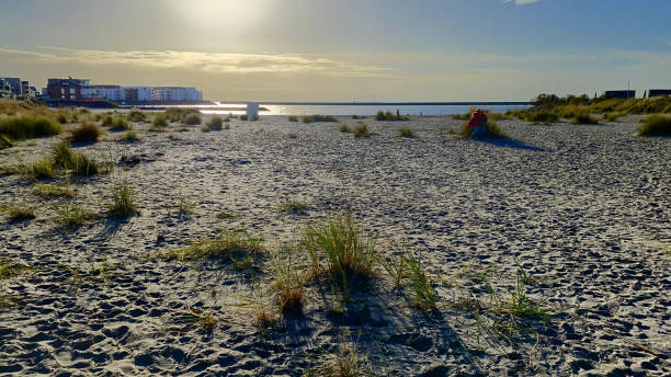 istock Wide sandy beach on the Baltic Sea in Germany 1482732931