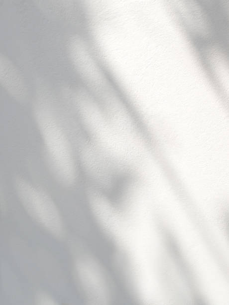 istock Abstract shadow of leaves on a white wall 1482735301