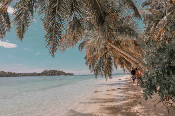 Beautifull mentawai beach A beach in mentawai island sumatera barat Mentawai Islands stock pictures, royalty-free photos & images