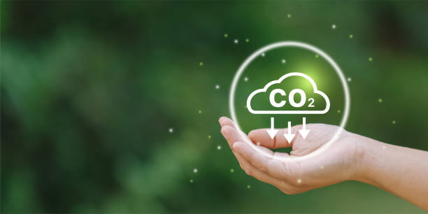 istock Businessman holding Co2 icon on virtual screen Reduce CO2 emissions to limit global warming. Lower CO2 levels with sustainable development of renewable energy 1482738364