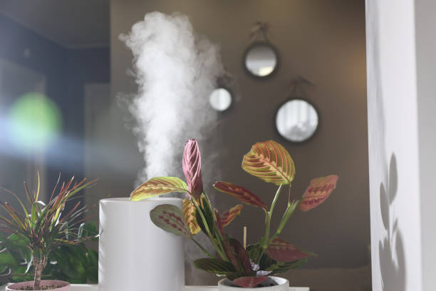 istock Work of a modern white humidifier 1482739864