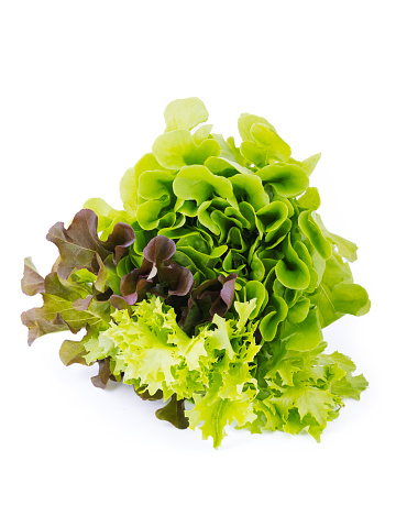 A bunch of Different Varieties of Leaf Salads on a White Background