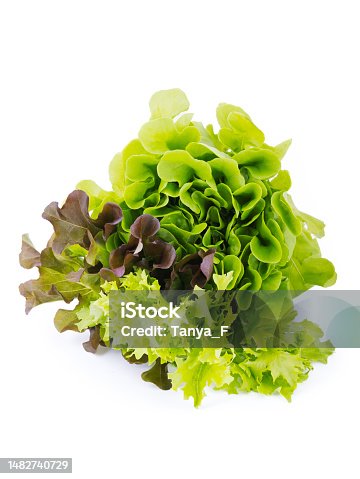istock A bunch of Different Varieties of Leaf Salads 1482740729