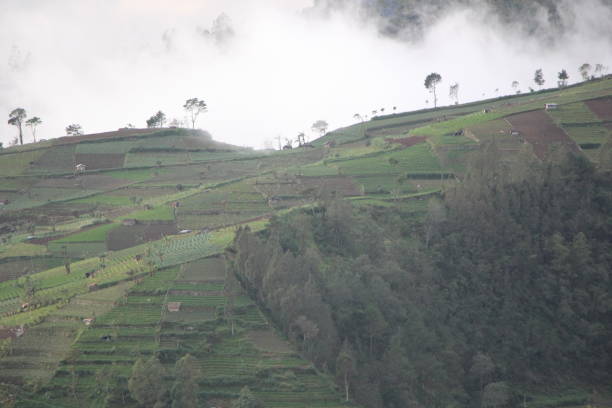 Mystical Mountainside: Captivating Fog in the Morning