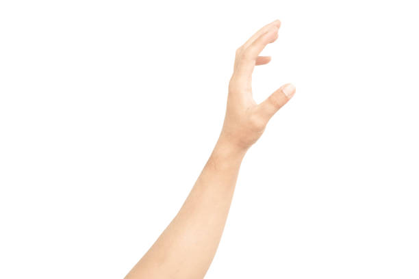 istock Man hands holding something on white background for product advertising concept 1482741989
