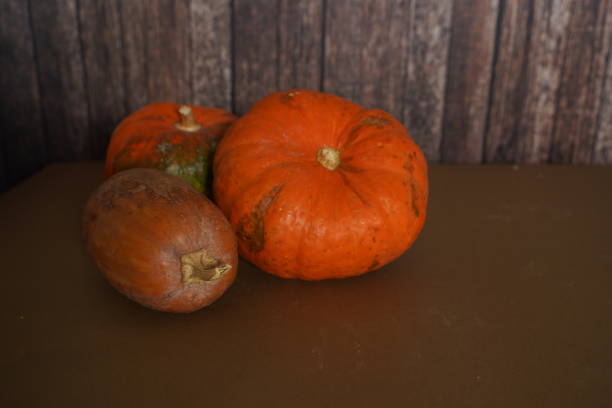 istock Colorful varieties of pumpkins and squashes. Color gradient background. 1482746519