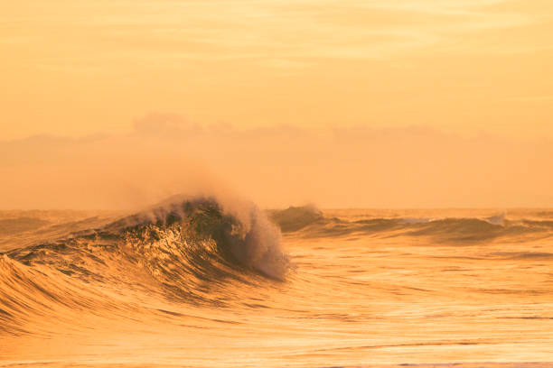 istock Rocks and clifs over sea at sunset 1482747766